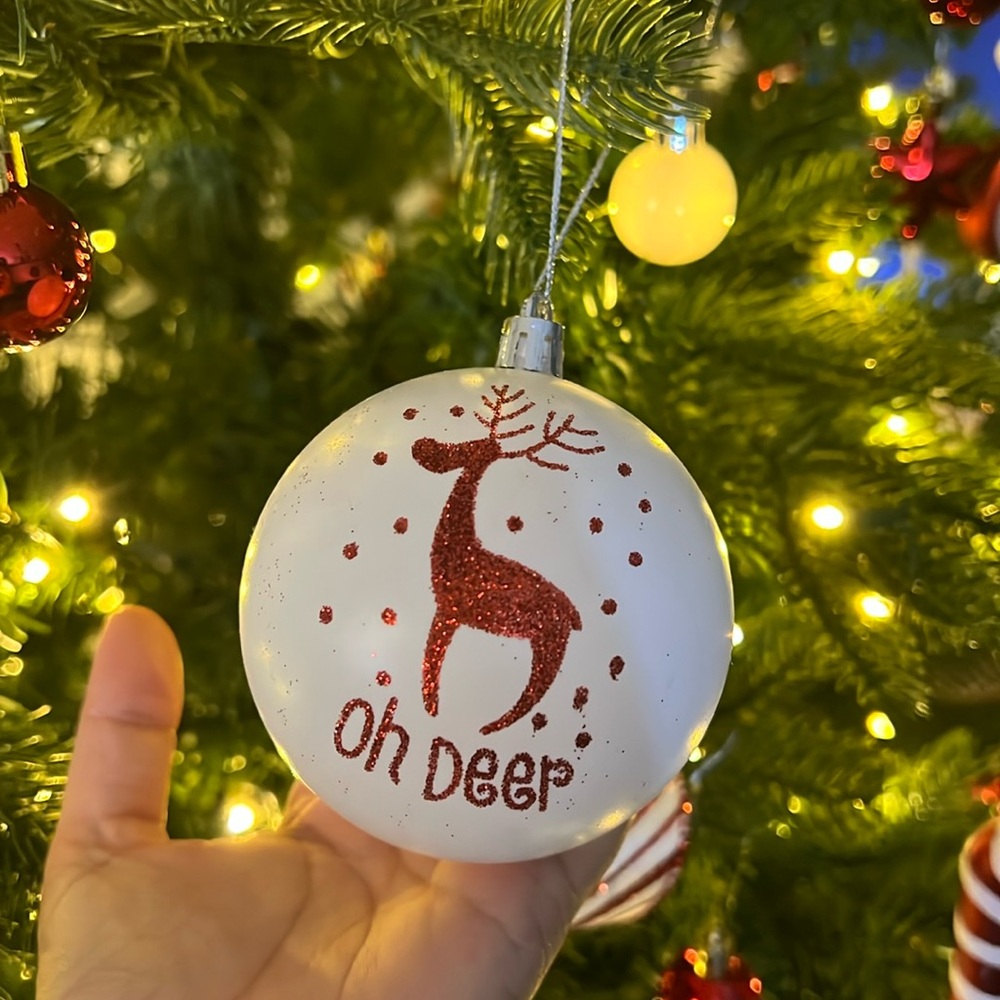 (Listing for YRam) Brand New Ornament Set